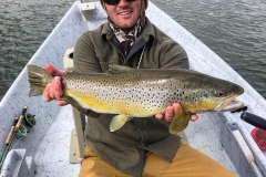 trout fish
