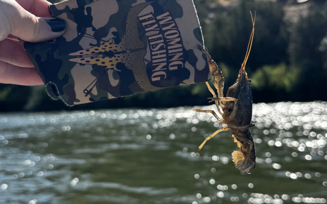 Grey Reef August 25′ river report