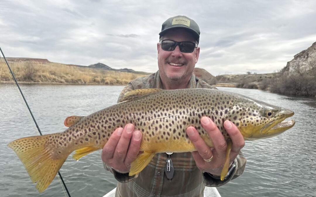 Big Horn Fishing Report April 26′